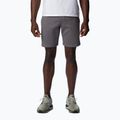 Spodenki trekkingowe męskie Columbia Logo Fleece city grey heather