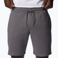 Spodenki trekkingowe męskie Columbia Logo Fleece city grey heather 5