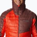 Kurtka męska Columbia Platinum Peak Hooded spicy/light raisin 6