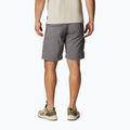 Spodenki trekkingowe męskie Columbia Silver Ridge Utility Cargo city grey 2