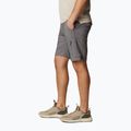 Spodenki trekkingowe męskie Columbia Silver Ridge Utility Cargo city grey 3