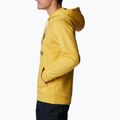 Bluza męska Columbia Trek Hoodie golden nugget/csc stacked graphic 4