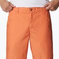 Spodenki trekkingowe męskie Columbia Washed Out desert orange 4