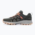Buty trekkingowe damskie Columbia Peakfreak II ti grey steel/lychee 13