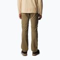Spodnie trekkingowe męskie Columbia Silver Ridge Utility Convertible stone green 2