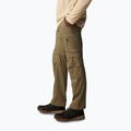 Spodnie trekkingowe męskie Columbia Silver Ridge Utility Convertible stone green 3