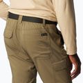 Spodnie trekkingowe męskie Columbia Silver Ridge Utility Convertible stone green 5