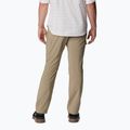 Spodnie trekkingowe męskie Columbia Silver Ridge Utility tusk 2