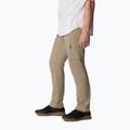Spodnie trekkingowe męskie Columbia Silver Ridge Utility tusk 3
