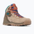 Buty męskie Columbia Newton Ridge BC ash brown/ waterfall 11