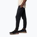 Spodnie trekkingowe męskie Columbia Hike Jogger II black 3
