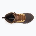 Buty turystyczne męskie Columbia Expeditionist Shield V2 curry/ light brown 13
