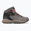 Buty trekkingowe damskie Columbia Newton Ridge Plus Wp Amped stratus/canyon rose 2
