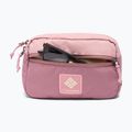 Saszetka nerka Columbia Trail Traveler Hip eraser pink/fig/lemon wash 4