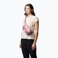 Saszetka nerka Columbia Trail Traveler Hip eraser pink/fig/lemon wash 5