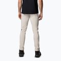 Spodnie trekkingowe męskie Columbia Titan Pass Pant II dark stone 2