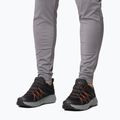 Buty turystyczne damskie Columbia Peakfreak Roam black/red quartz 10