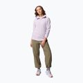 Bluza polarowa damska Columbia Glacial IV 1/2 Zip lavender pearl 2