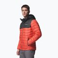 Kurtka męska Columbia Powder Lite II Hooded zing/shark 4