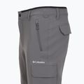 Spodnie trekkingowe męskie Columbia Tech Trail Utility Winter city grey 13