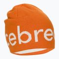 Czapka zimowa icebreaker Merino Icebreaker Beanie earth/ecru hthr