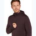 Bluza męska icebreaker Merino 260 Quantum IV Zip Hoodie bittersweet 5