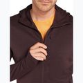 Bluza męska icebreaker Merino 260 Quantum IV Zip Hoodie bittersweet 7