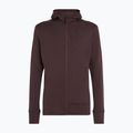 Bluza trekkingowa męska icebreaker Merino 260 Quantum IV Zip Hoodie bittersweet 11