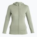 Bluza damska icebreaker Merino 260 Quantum IV Zip Hoodie lichen 7