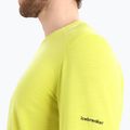 Bluza termoaktywna męska icebreaker 200 Oasis Crewe Alps 3D shine 5