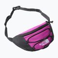 Saszetka nerka The North Face Jester Lumbar purple/white 6