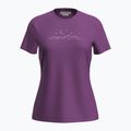 Koszulka trekkingowa damska icebreaker Merino 150 Tech Lite SS Tee Sparkling Stars passion