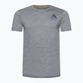 Koszulka trekkingowa męska Smartwool Wilderness Summit Graphic Tee Slim Fit light  grey heather 4