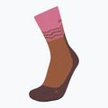 Skarpety damskie icebreaker Merino Hike+ Medium Crew Across the Peaks pop/carob
