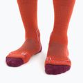 Skarpety damskie icebreaker Hike+ Light Crew red 3