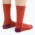 Skarpety damskie icebreaker Hike+ Light Crew red 4