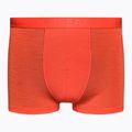 Bokserki termoaktywne męskie icebreaker Anatomica Cool-Lite red