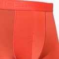 Bokserki termoaktywne męskie icebreaker Anatomica Cool-Lite red 3