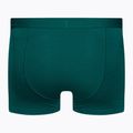 Bokserki termoaktywne męskie icebreaker Anatomica Cool-Lite greenglory 2