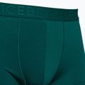 Bokserki termoaktywne męskie icebreaker Anatomica Cool-Lite greenglory 3