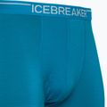 Bokserki termoaktywne męskie icebreaker Anatomica geo blue 3