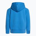 Bluza trekkingowa dziecięca The North Face Drew Peak P/O Hoodie super sonic blue 2
