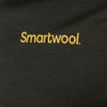 Koszulka trekkingowa męska Smartwool Memory Quilt Graphic Tee Guitar Slim Fit north woods heather 6