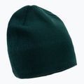 Czapka zimowa The North Face Bones Recycled ponderosa green