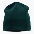 Czapka zimowa The North Face Bones Recycled ponderosa green 2