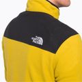 Bluza trekkingowa męska The North Face Homesafe Snap Neck Fleece Pullover mineral gold 5