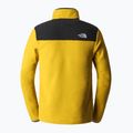 Bluza trekkingowa męska The North Face Homesafe Snap Neck Fleece Pullover mineral gold 9