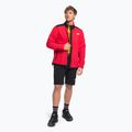Bluza męska The North Face Alpine Polartec 200 FZ tnf red/black 2