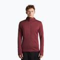 Bluza męska Icebreaker Merino 260 Quantum IV LS Zip Hoodie port/agate