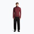 Bluza męska Icebreaker Merino 260 Quantum IV LS Zip Hoodie port/agate 4